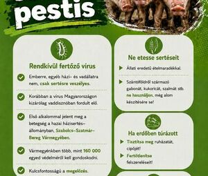 Felhívás - sertéspestis